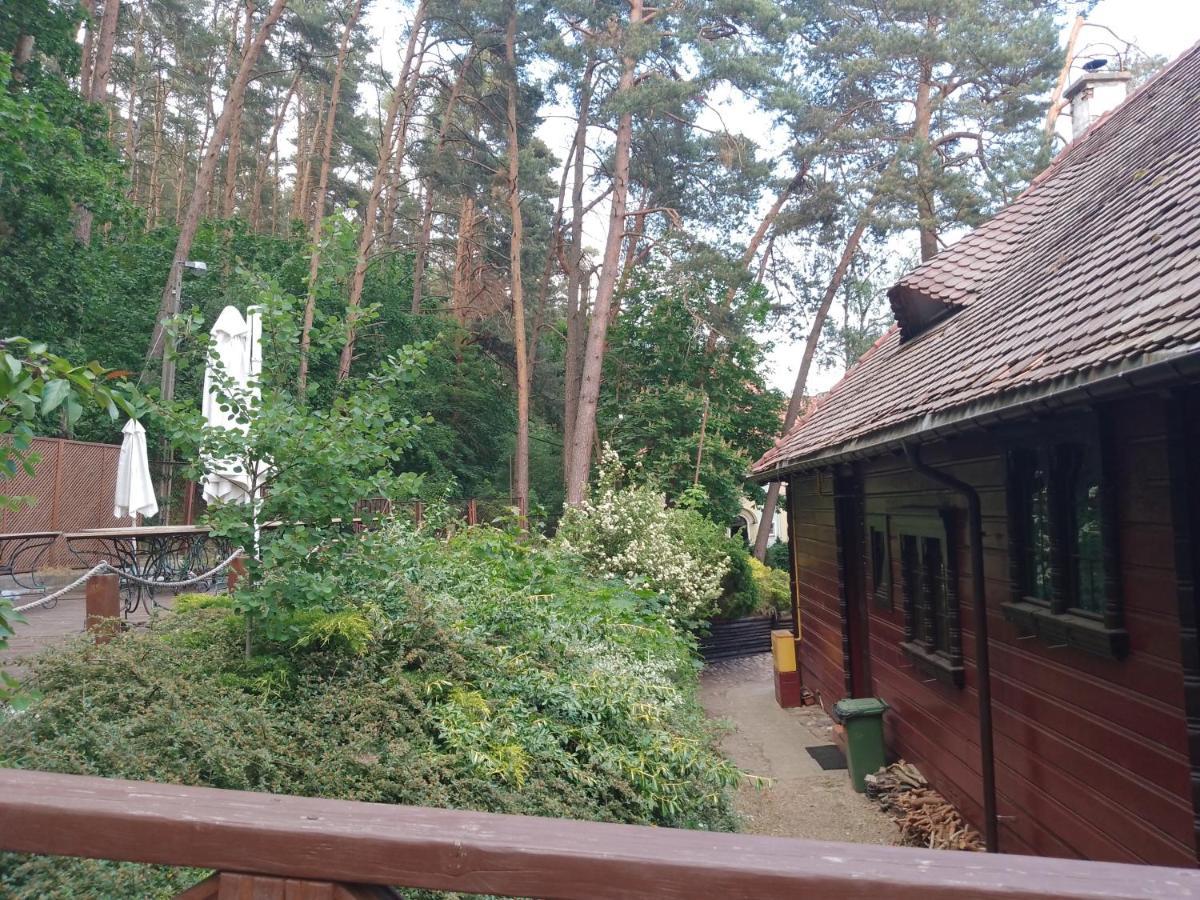 Apartamenty Pod Sosnami Sopot Zewnętrze zdjęcie
